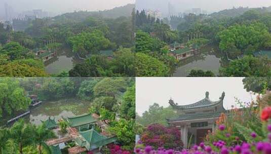 厦门 园林植物园 百花厅 万石植物园高清在线视频素材下载