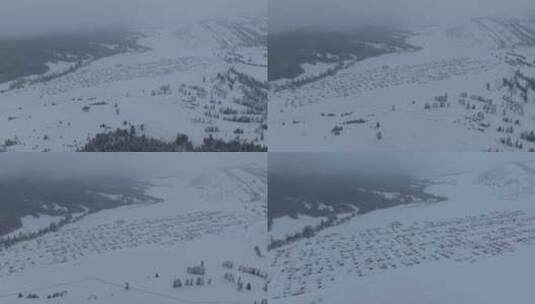 航拍新疆喀纳斯新村雪景高清在线视频素材下载