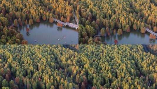 青山湖森林4K航拍空镜高清在线视频素材下载