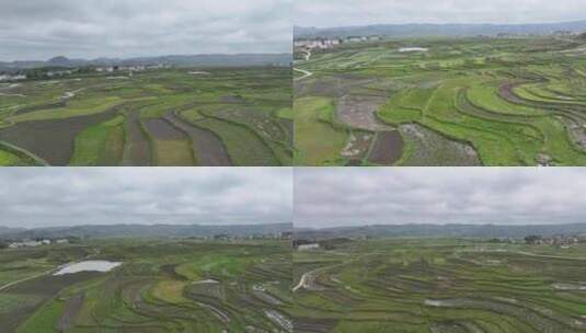 贵州云顶草原航拍高清在线视频素材下载