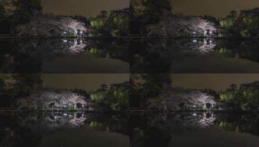杭州西湖 花港观鱼 春天 夜樱 延时高清在线视频素材下载