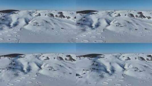 呼伦贝尔冬季雪原风光高清在线视频素材下载