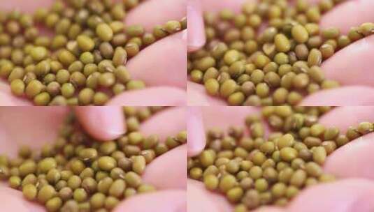 粗粮绿豆五谷杂粮高清在线视频素材下载
