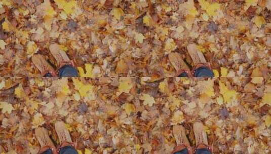 双脚站在秋天的树叶上相机旋转高清在线视频素材下载