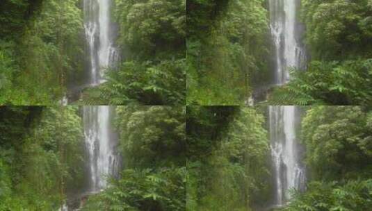 热带瀑布流经茂密的雨林高清在线视频素材下载