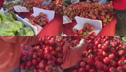 【镜头合集】赶大集购买西红柿番茄圣女果高清在线视频素材下载