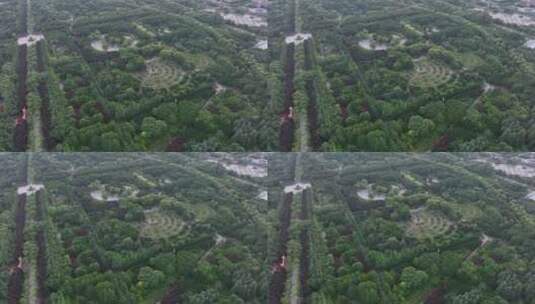 4K航拍洛阳隋唐城遗址植物园高清在线视频素材下载