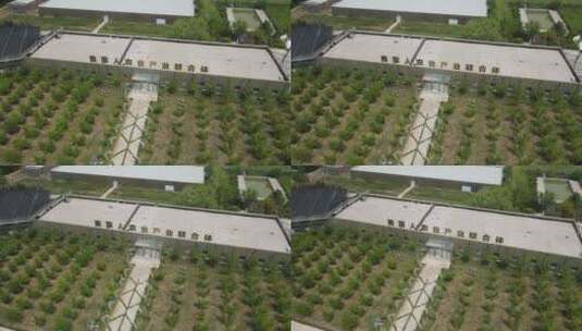 西安灞桥区麦草人有机农业公园7高清在线视频素材下载