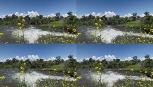 山间溪流河流高清在线视频素材下载