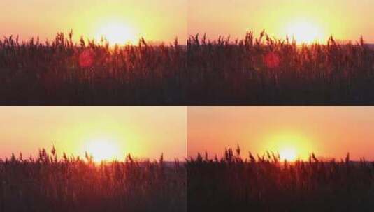 冬季原野夕阳落日空境逆光转场自然风光高清在线视频素材下载