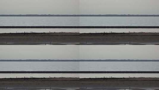 波光粼粼的湖水天际线景观高清在线视频素材下载