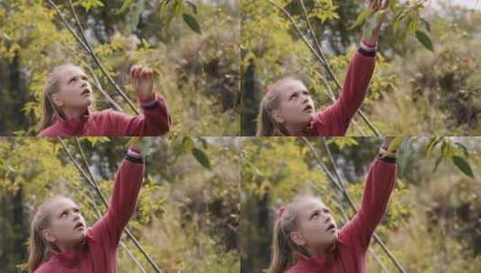 小女孩摘掉树枝上生病的叶子高清在线视频素材下载