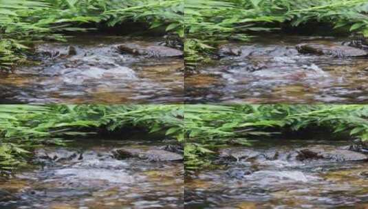 水流溪水高清在线视频素材下载