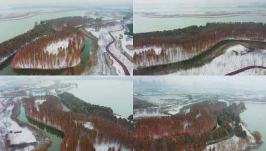 连云港硕项湖雪景0232高清在线视频素材下载