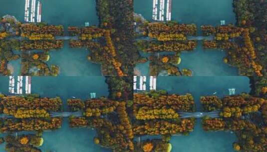 杭州西湖杨公堤俯拍高清在线视频素材下载
