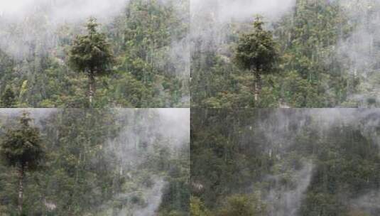 徒步天堂雨崩村自然风光高清在线视频素材下载