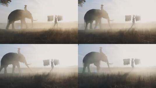 骑着大象的农民高清在线视频素材下载