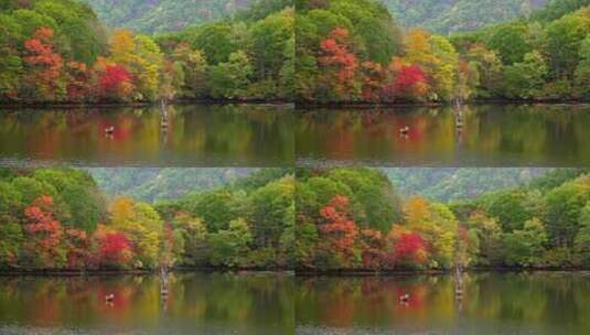 秋天山水枫叶林高清在线视频素材下载