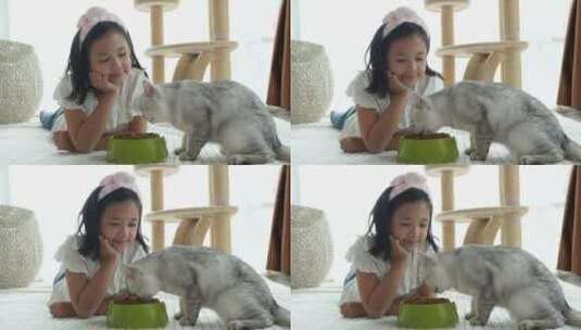 女孩喂养宠物猫高清在线视频素材下载