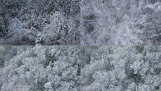 冬季森林雪景高清在线视频素材下载