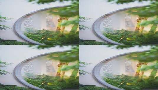 中式园林花园里的植物树和竹子高清在线视频素材下载
