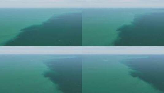 深圳大鹏海洋海水分界线竖屏高清在线视频素材下载