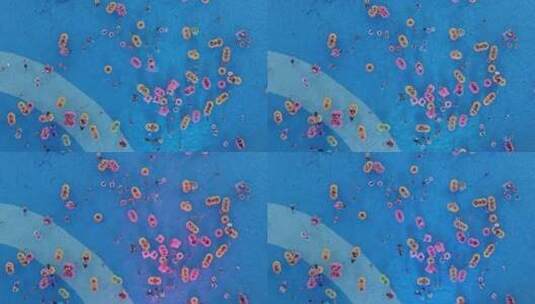 航拍上海玛雅海滩水公园加勒比海滩游泳池高清在线视频素材下载