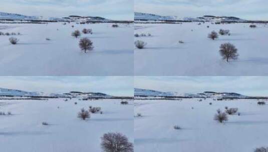 唯美雪原美景 水墨丹青画卷高清在线视频素材下载