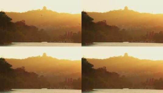 惠州西湖黄昏鸟类视频4K高清在线视频素材下载