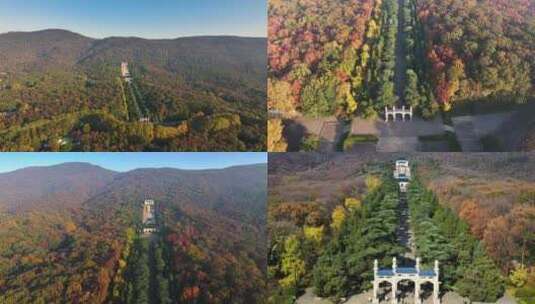 钟山风景区中山陵陵道高清在线视频素材下载