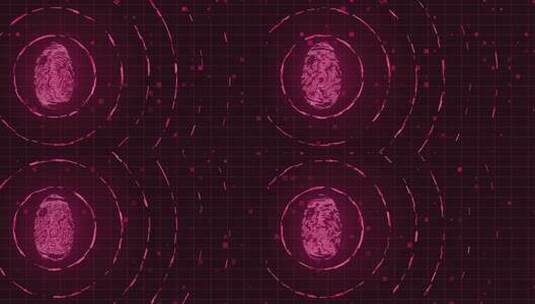 人类指纹的抽象未来主义动画，生物识别指纹高清在线视频素材下载