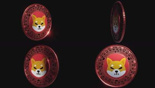 Shib Shiba Inu Meme代高清在线视频素材下载