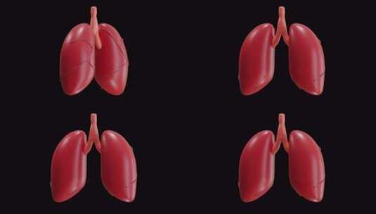 Alpha通道上肺部的3D动画高清在线视频素材下载
