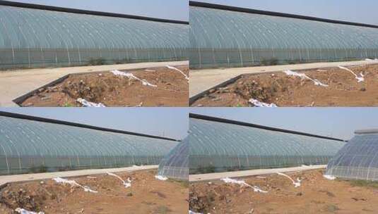 大棚 蔬菜大棚 元氏 冬季高清在线视频素材下载