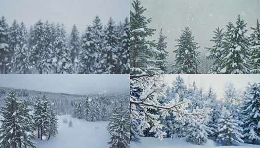 冬天唯美雪景 雪花飘落 (1)高清在线视频素材下载