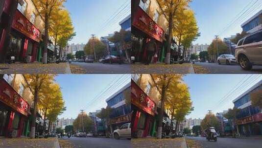 秋日街道银杏树与车辆景象高清在线视频素材下载