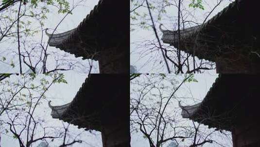 沧桑古建特写高清在线视频素材下载