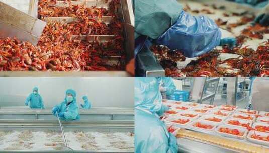 小龙虾食品工厂生产流水线高清在线视频素材下载