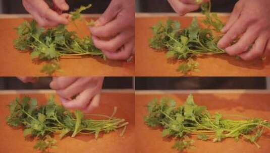 菜刀切香菜高清在线视频素材下载