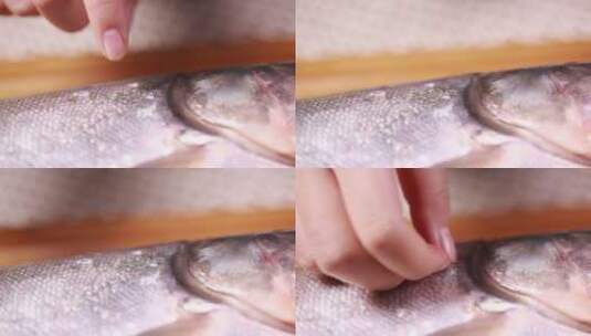 草鱼鱼皮表面鱼鳞高清在线视频素材下载