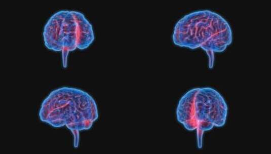 医学 大脑 脑科学 三维 脑ct1 模型高清在线视频素材下载