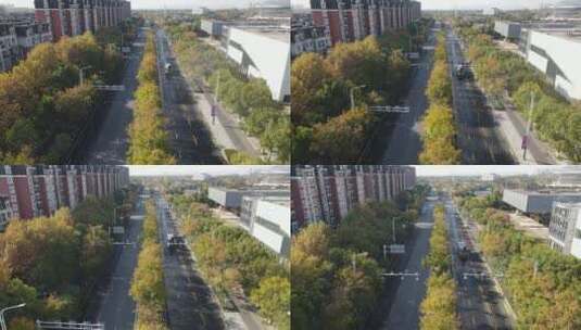 航拍城市绿化树木高清在线视频素材下载