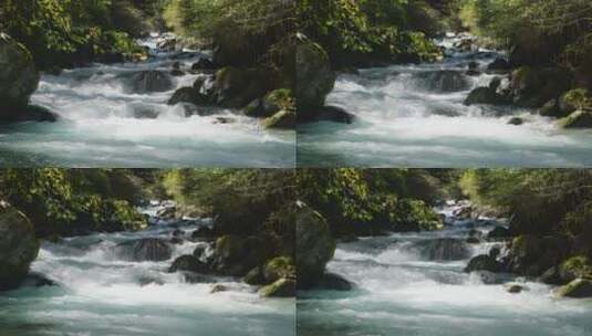 夏天九寨沟的溪流风景高清在线视频素材下载