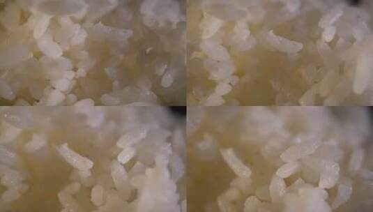 主食水稻大米饭高清在线视频素材下载
