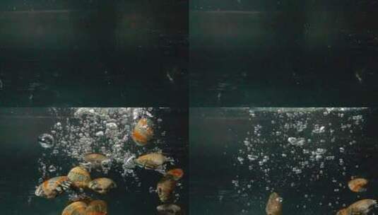 扇贝文蛤静物图水箱拍摄唯美感高清在线视频素材下载