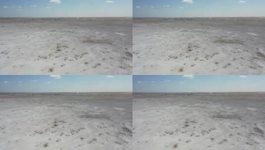 新疆塔里木盆地盐碱地荒野自然风光高清在线视频素材下载