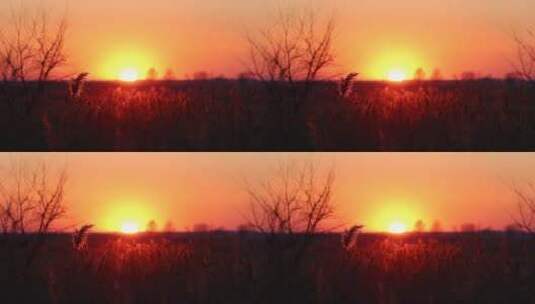 冬季原野夕阳落日空境转场自然风光高清在线视频素材下载