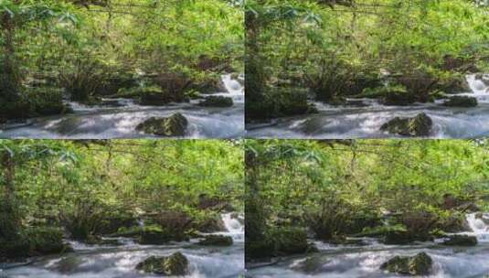 森林小溪水延时高清在线视频素材下载