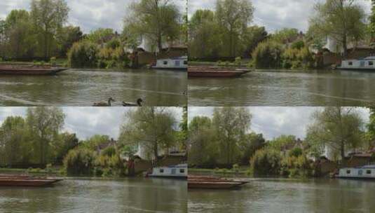 河岸的美丽景色高清在线视频素材下载