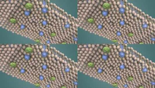 3D医学动画细胞动画 动物细胞 植物细胞高清在线视频素材下载